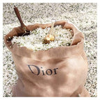 Christian Dior J’adore for Women – 3.4 oz Eau de Parfum
