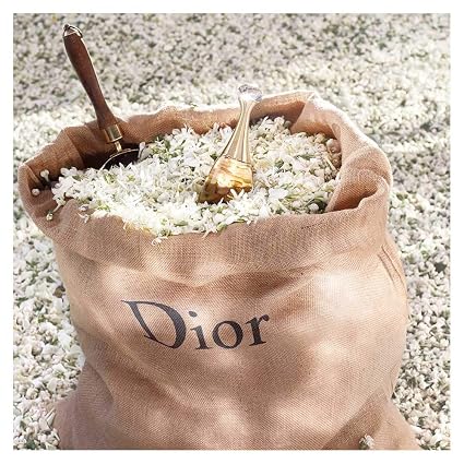 Christian Dior J’adore for Women – 3.4 oz Eau de Parfum