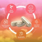 Yerba Magic 100% Yerba Mate Capsules – Clean Energy &amp; Daily Wellness