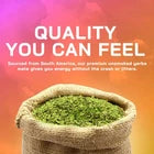 Yerba Magic 100% Yerba Mate Capsules – Clean Energy &amp; Daily Wellness